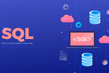Database Management & SQL